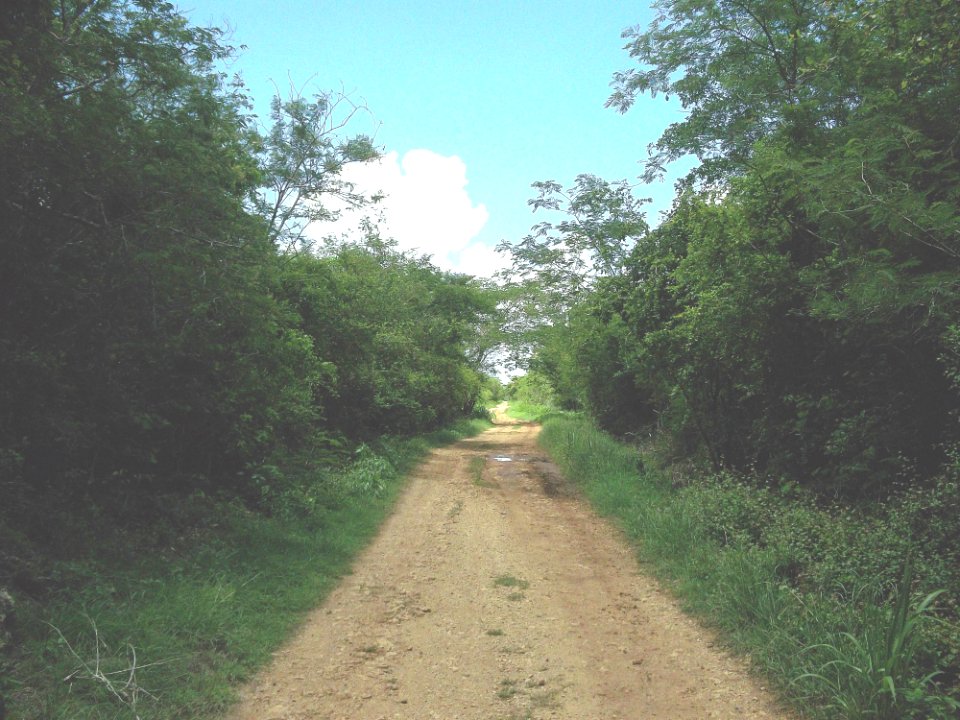 Chantún, Yucatán (15)
