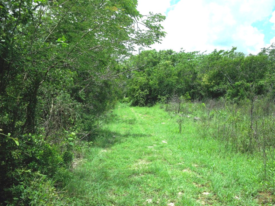 Chantún, Yucatán (14)