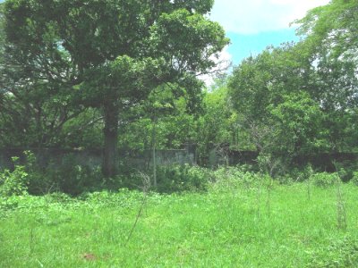Chantún, Yucatán (09)