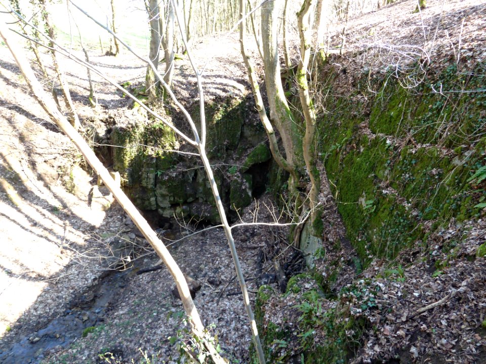 Chantoir - Roche aux Faucons (3)