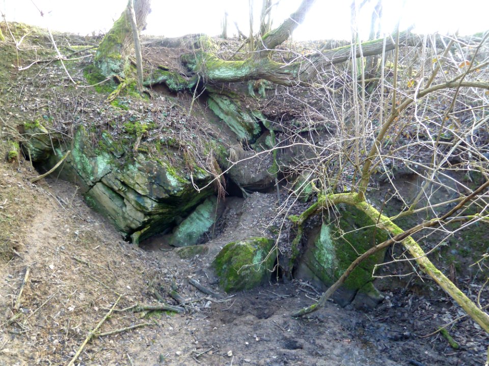 Chantoir - Longeville - Trou du Renard (2)