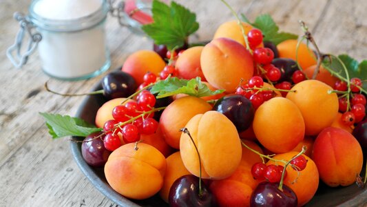 Apricots currants cherries