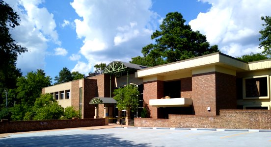 Chapel Hill Town Hall 2020