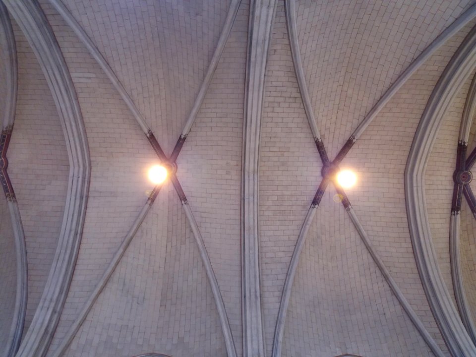 Chapelle des Chartreux - Plafond
