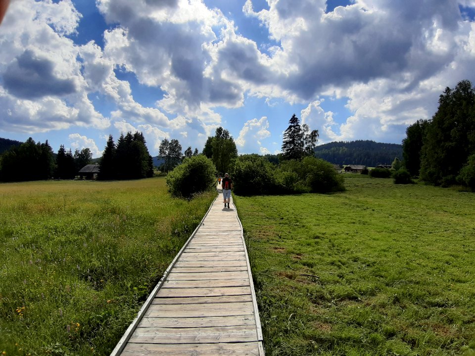 CHALUPSKA SLAT 2019 - Samsung 31