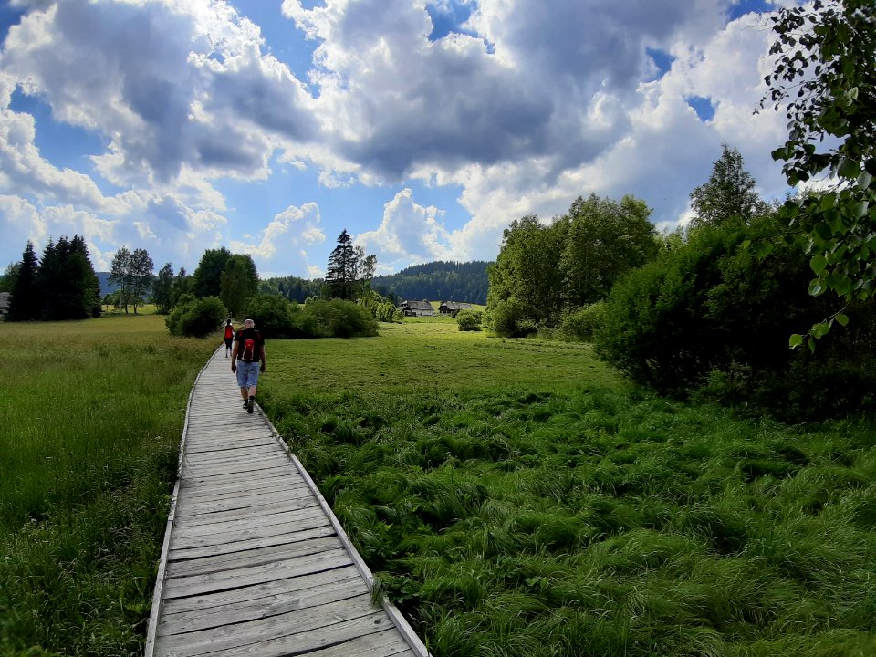 CHALUPSKA SLAT 2019 - Samsung 29