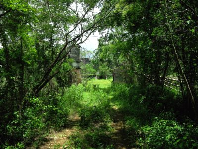 Chantún, Yucatán (02)