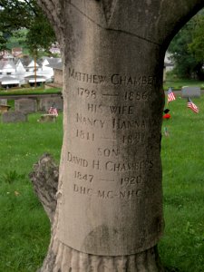 Chambers Stump, South Side Cemetery, 2019-07-08, 02