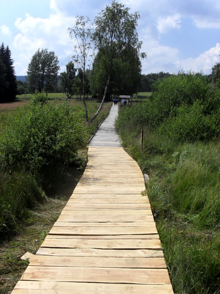 Chalupská slať 24
