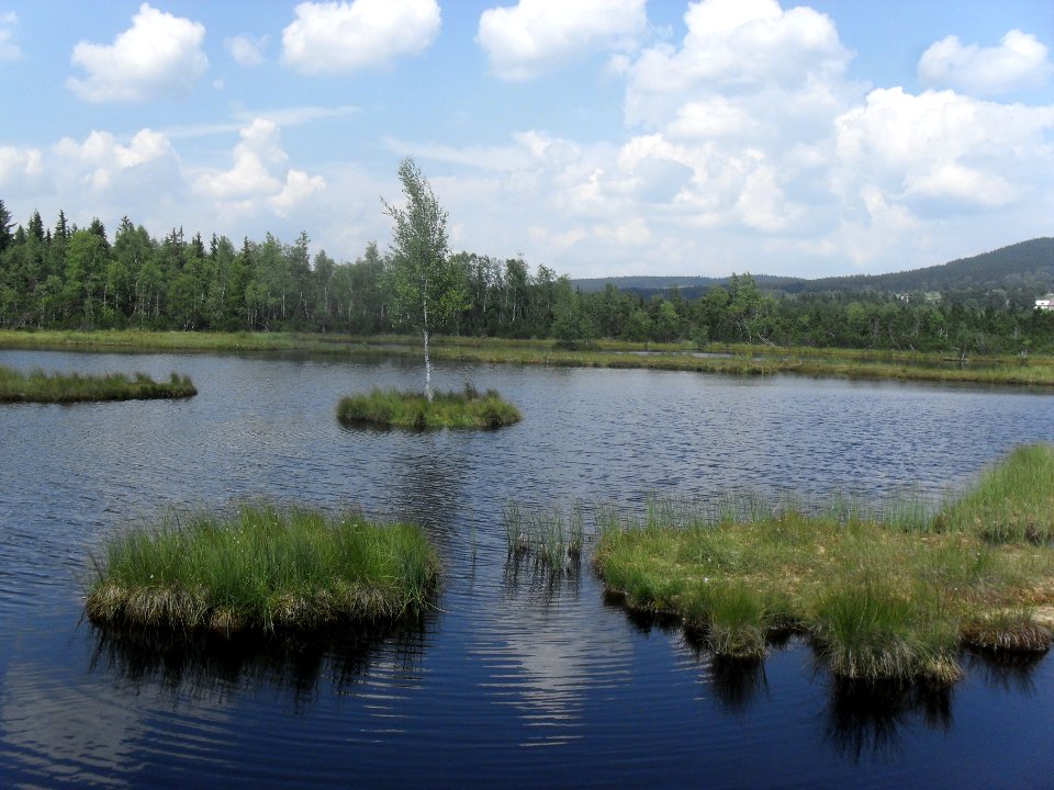 Chalupská slať 59