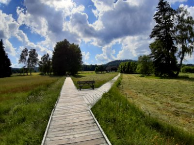 CHALUPSKA SLAT 2019 - Samsung 34
