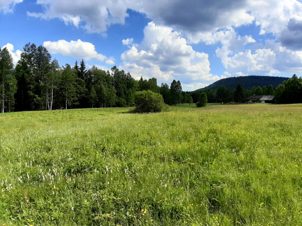 CHALUPSKA SLAT 2019 - Samsung 32