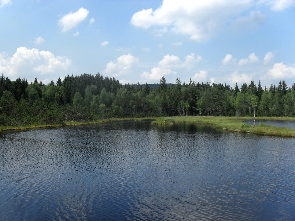Chalupská slať 43