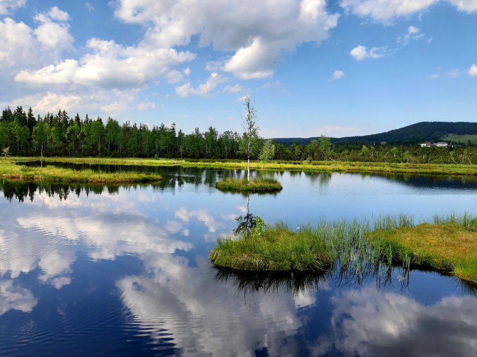 CHALUPSKA SLAT 2019 - Samsung 14