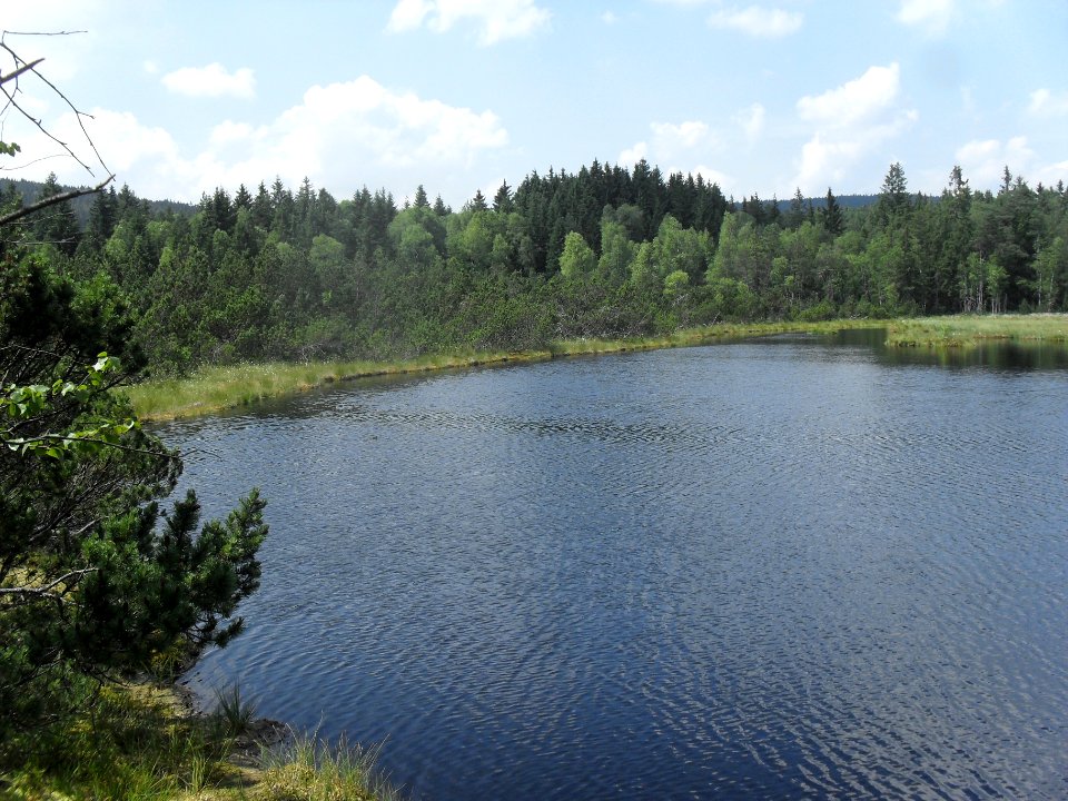 Chalupská slať 52