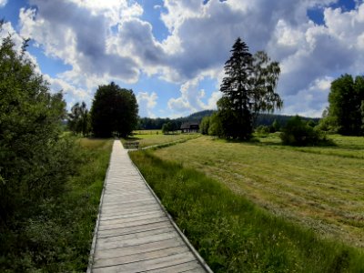 CHALUPSKA SLAT 2019 - Samsung 33