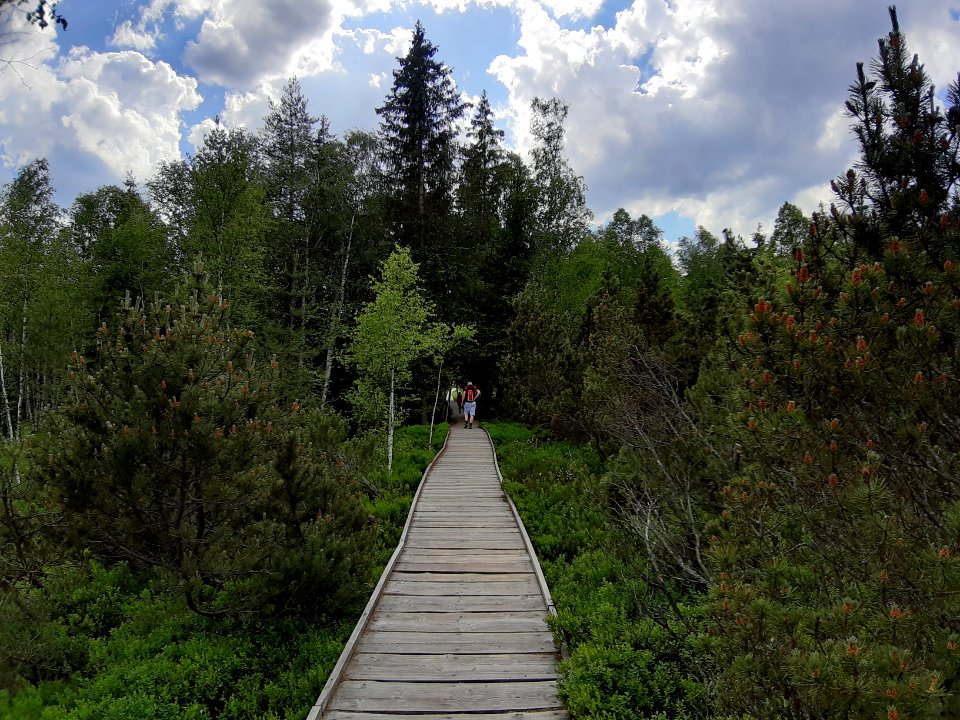 CHALUPSKA SLAT 2019 - Samsung 27