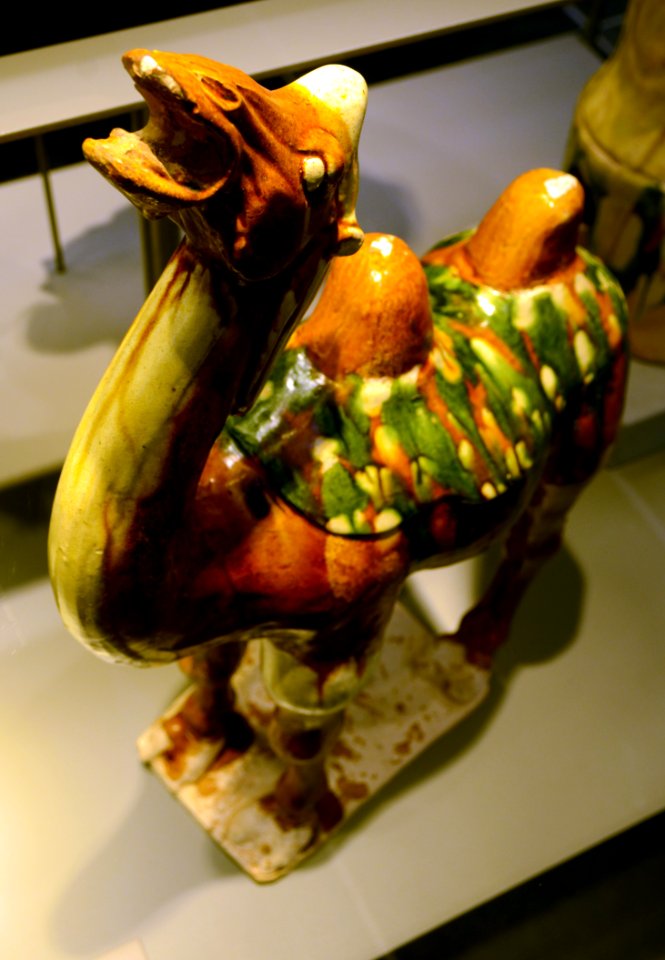Chameau Tang Musée Mariemont 08112015 1