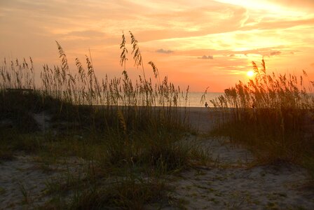 Beauty majestic beach photo