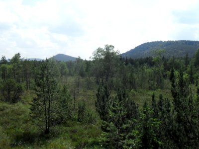 Chalupská slať 28