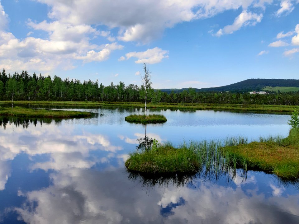 CHALUPSKA SLAT 2019 - Samsung 12