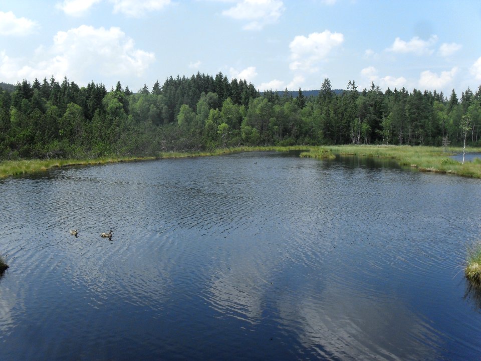Chalupská slať 57