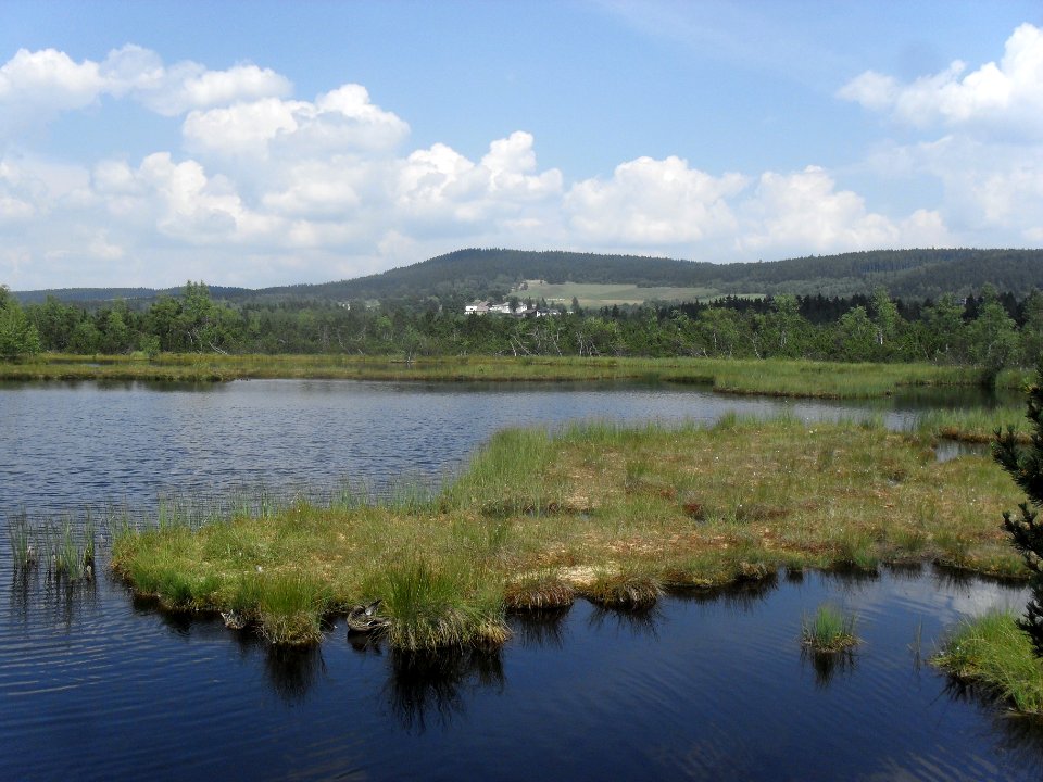 Chalupská slať 40