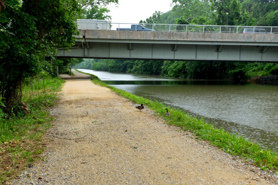 Chain Bridge over Chesapeake and Ohio Canal