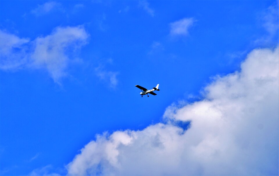 Sky flies silhouette