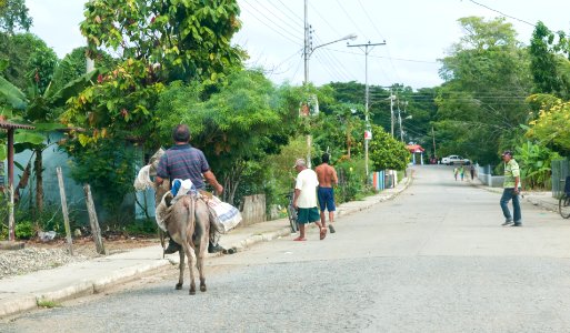 Chaguaramal, Municipio Gual, Estado Miranda, Venezuela