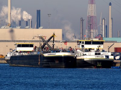 Chardonnay (ship, 2008), ENI 02331927, Port of Antwerp