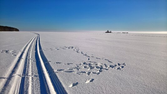 Track skiing winter