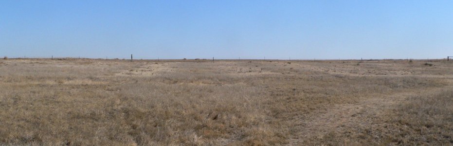 Charlie's Ruts from dam 2