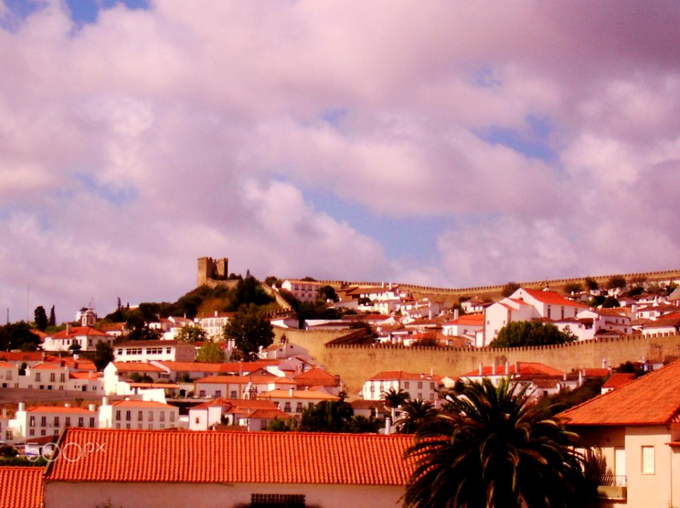 Charming Óbidos (124670091)