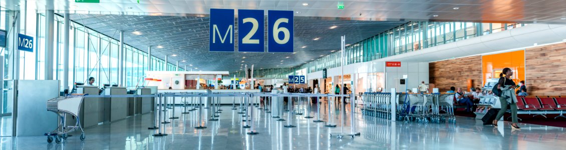 Charles de Gaulle Airport Gate photo