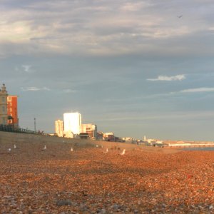 Chartwell Court, Sussex Heights and Bedford Towers, Brighton, seen at sunset from the beach in Hove (July 2013) (2)