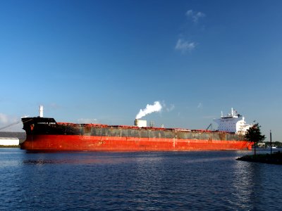 Chariklia Junior (ship, 2011) IMO 9548201, Mercuriushaven, Port of Amsterdam pic2