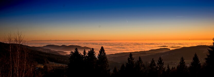 Sunset fog mood