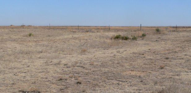 Charlie's Ruts facing obliquely NE 2