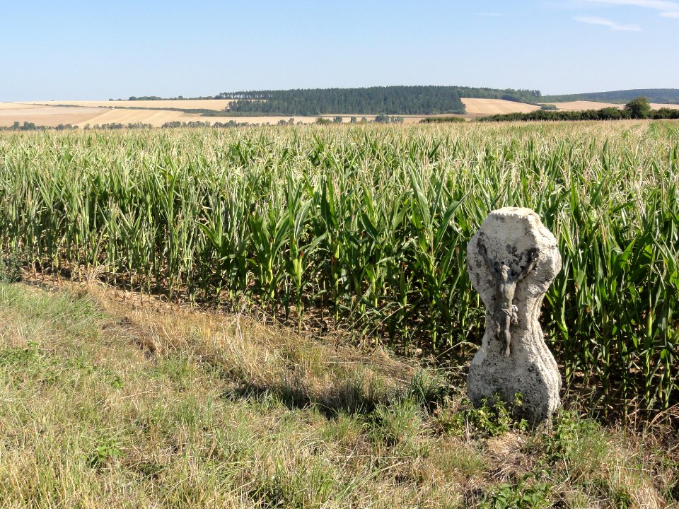 Charny-sur-Meuse (Meuse) paysage avec croix de chemin