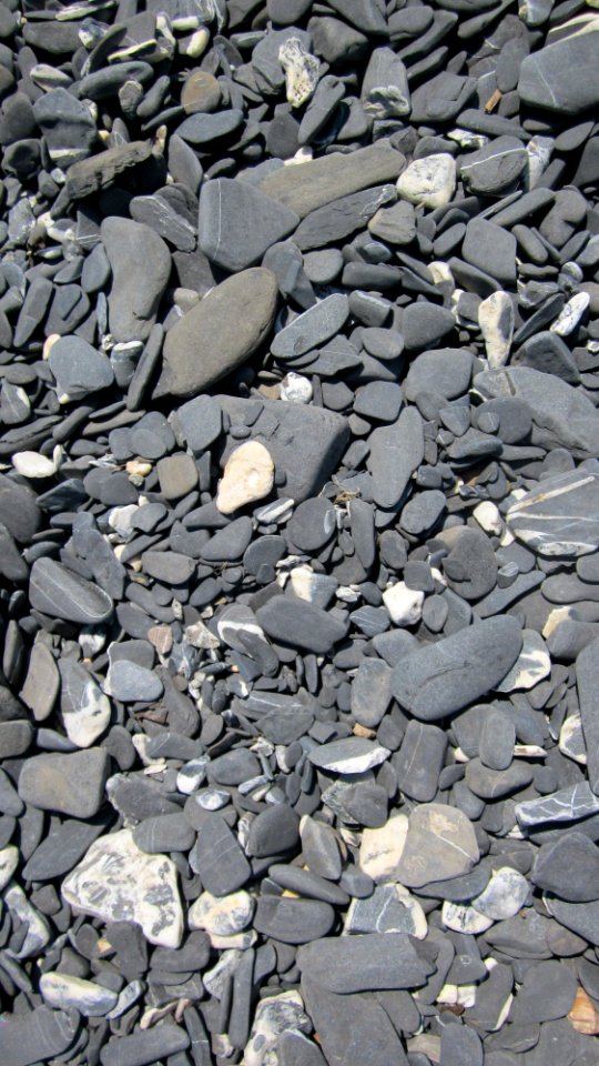 Champlain Stones