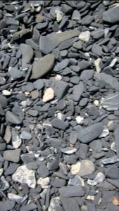 Champlain Stones