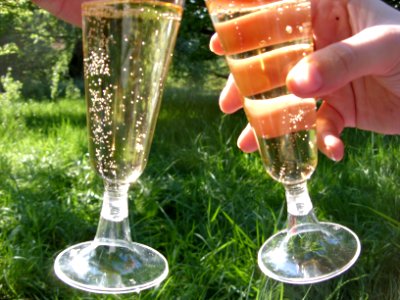 Champagne glasses
