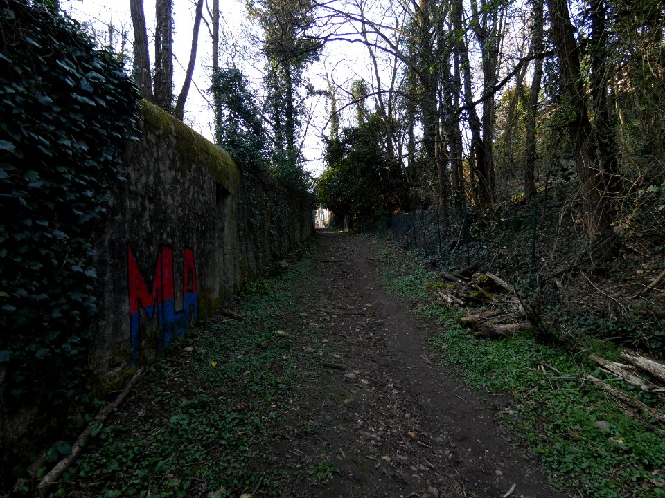 Champagne-au-Mont-d'Or - Chemin de Rochecardon - Chemin de terre 02