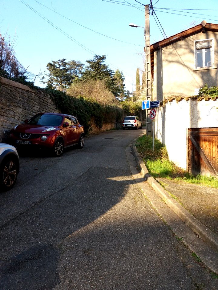 Champagne-au-Mont-d'Or - Rue de la Voutillière - Depuis le chemin de la Voutillière