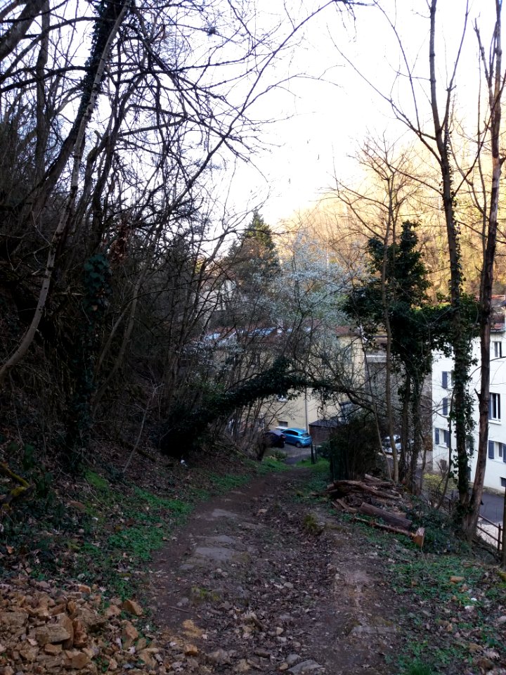 Champagne-au-Mont-d'Or - Chemin de Rochecardon - En descendant vers le chemin de la Duchère