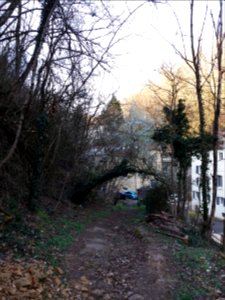 Champagne-au-Mont-d'Or - Chemin de Rochecardon - En descendant vers le chemin de la Duchère