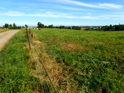 Champlin (Ardennes) landscape 02