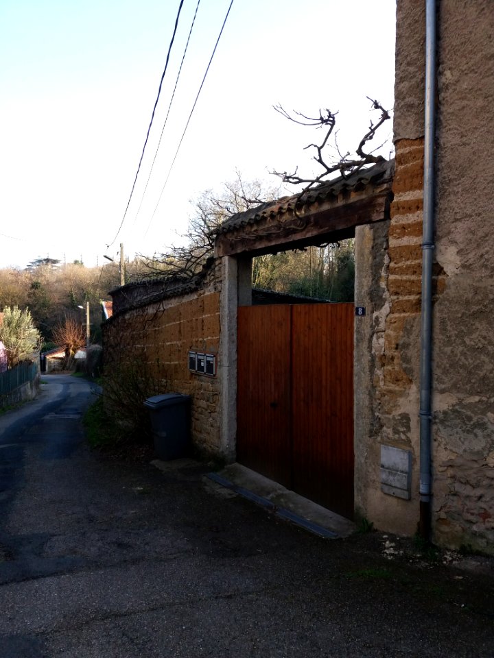 Champagne-au-Mont-d'Or - Chemin de Rochecardon - Depuis le chemin de la Voutillière