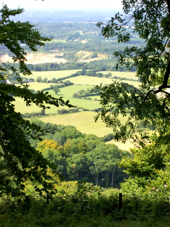 Chanctonbury Ring 7
